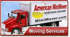  - American-Mini-Movers-image3