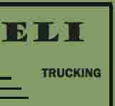 Eli-Trucking logos