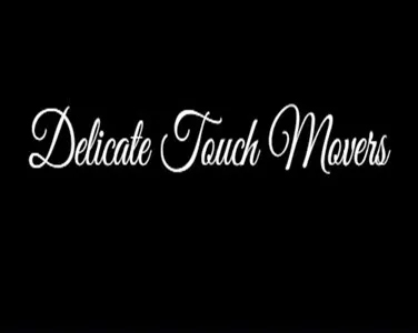 delicate touch movers-logo