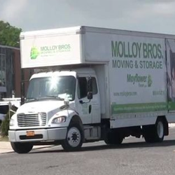 Molloy-Bros-Moving-image3
