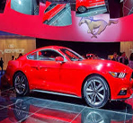 Mustang-Moving-image2