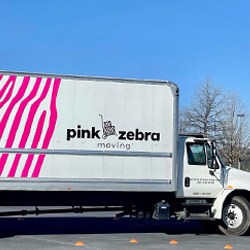 Pink-Zebra-Moving-image1