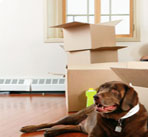 Reliable-Movers-CA-image3